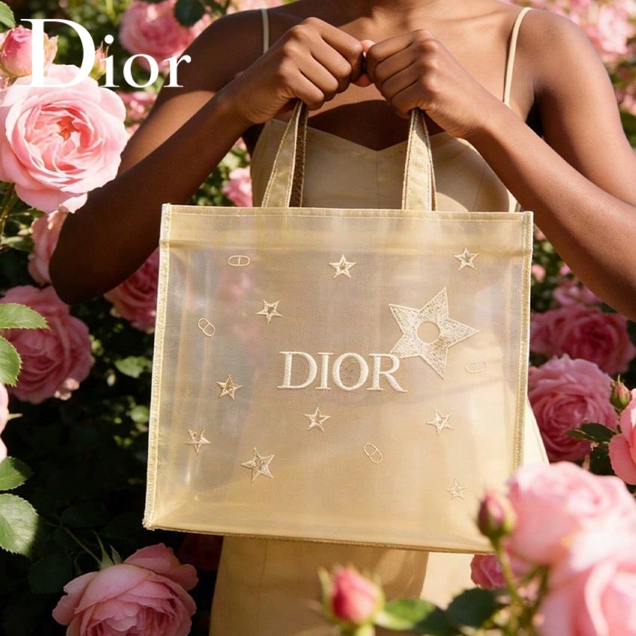 Christian Dior Dior’s bag Luxu - Luxury Bags Dior recension och pris